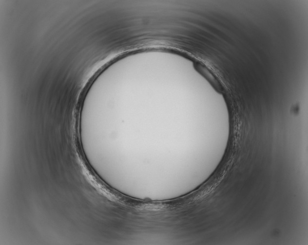 X0000115601134200912011520