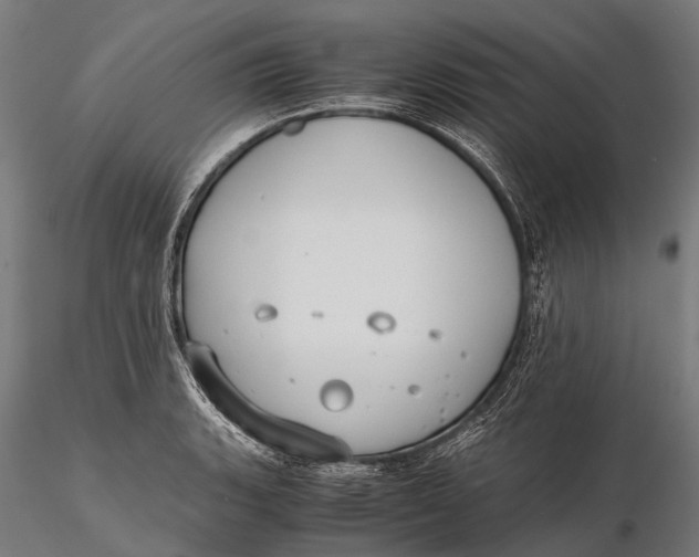 X0000115601135200912011520