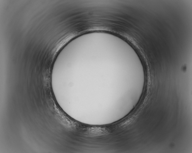 X0000115601137200912011520