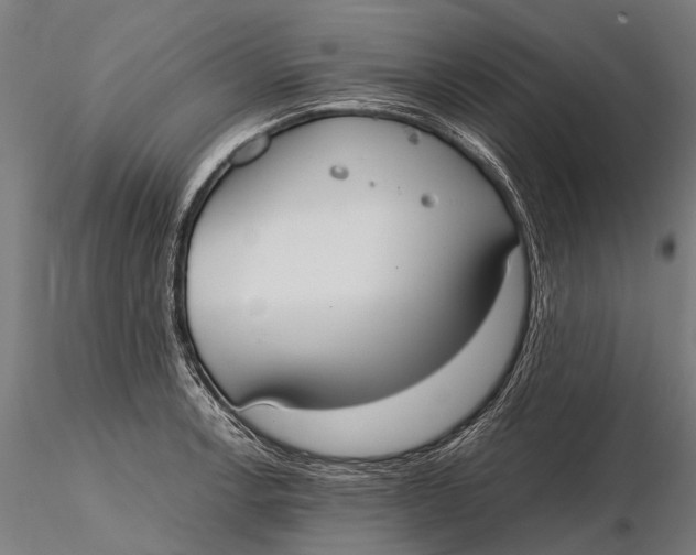 X0000115601138200912011520