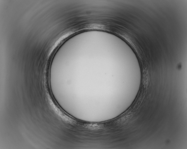 X0000115601139200912011520