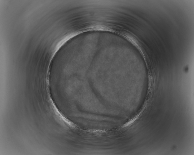 X0000115601141200912011520