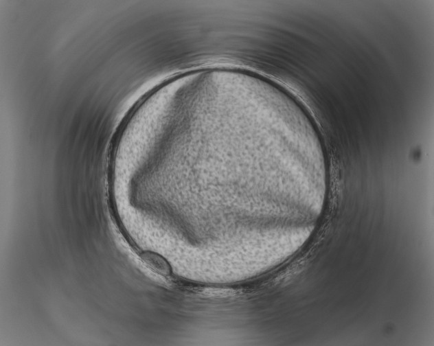 X0000115601142200912011521