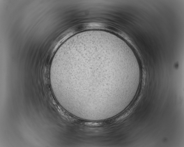 X0000115601145200912011521