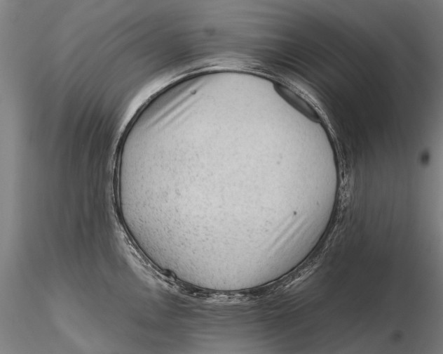 X0000115601146200912011521