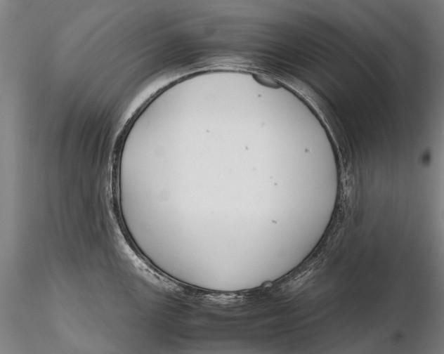 X0000115601147200912011521