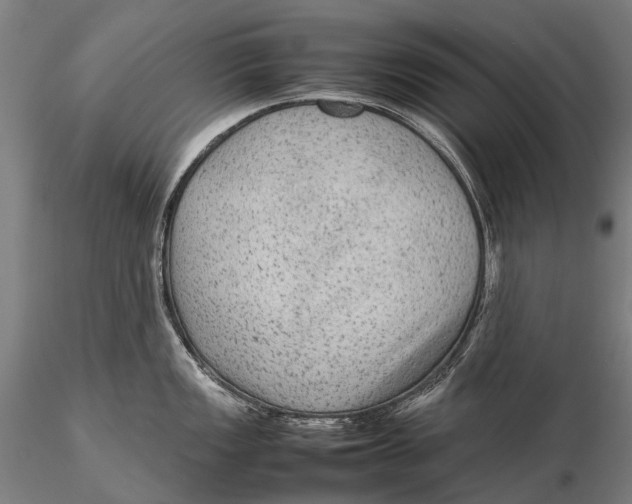 X0000115601149200912011521