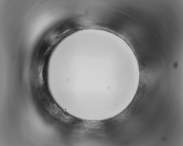 X0000115601150200912011521