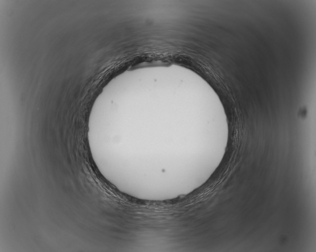 X0000115601153200912011520