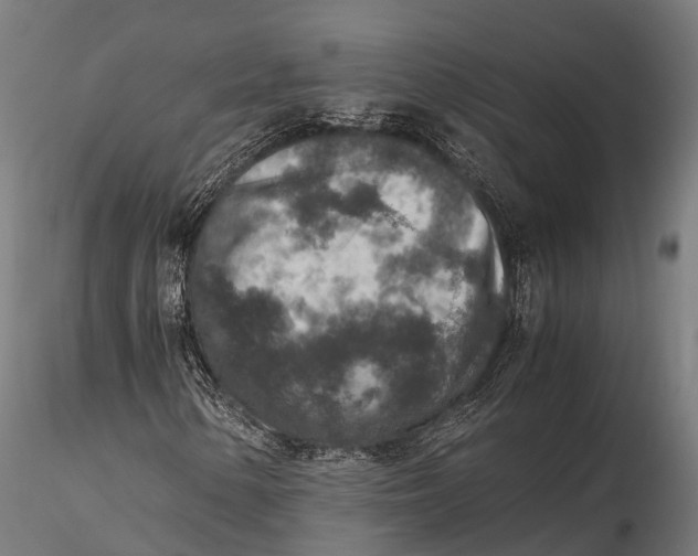 X0000115601154200912011520