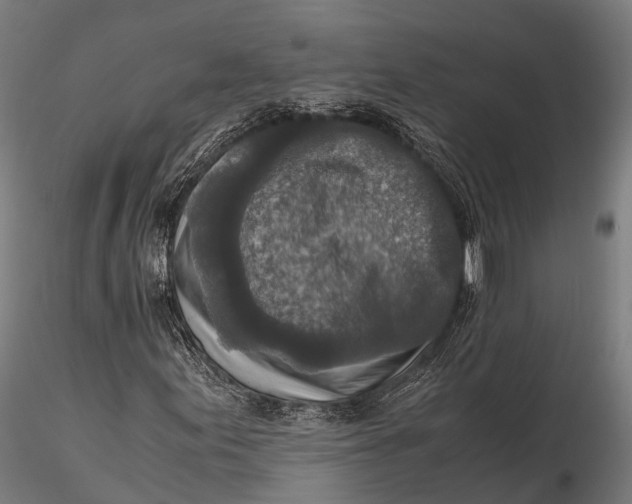 X0000115601155200912011520