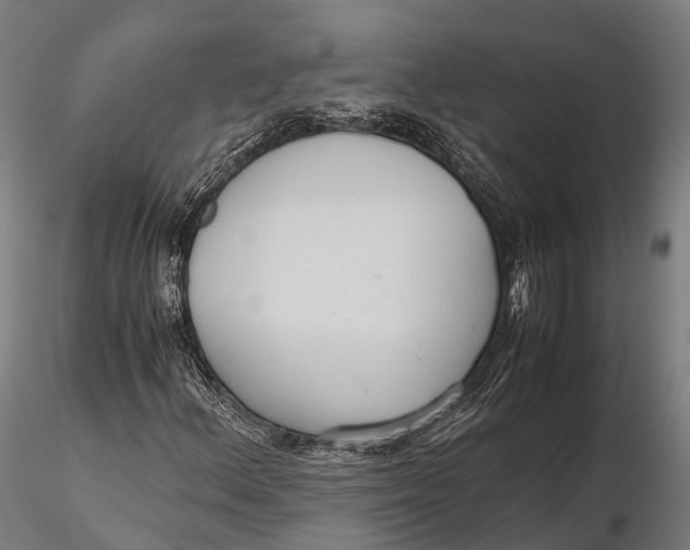 X0000115601156200912011520