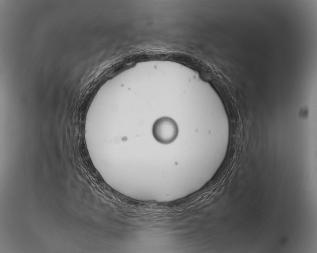 X0000115601157200912011520