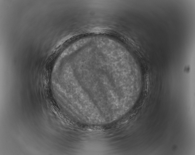 X0000115601158200912011520