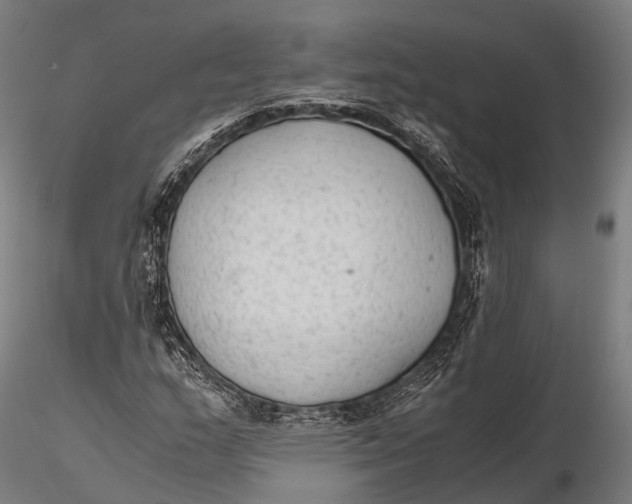 X0000115601159200912011520