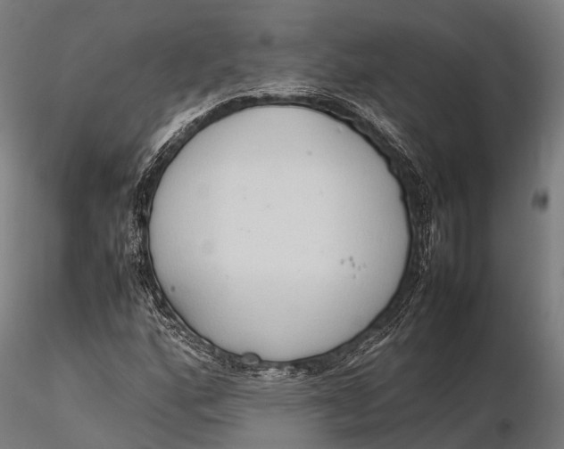 X0000115601160200912011520