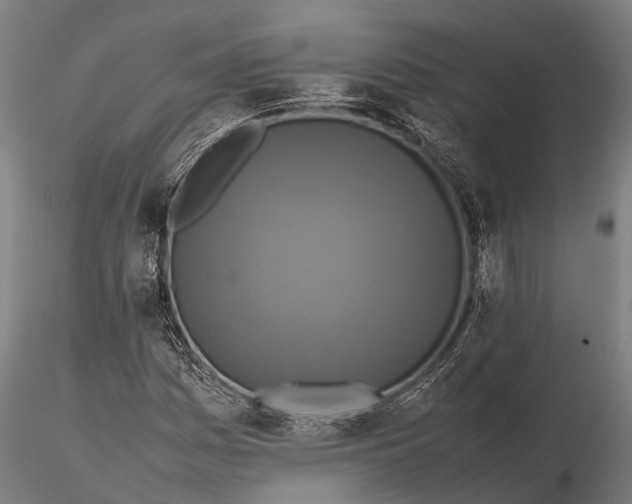 X0000115601161200912011520