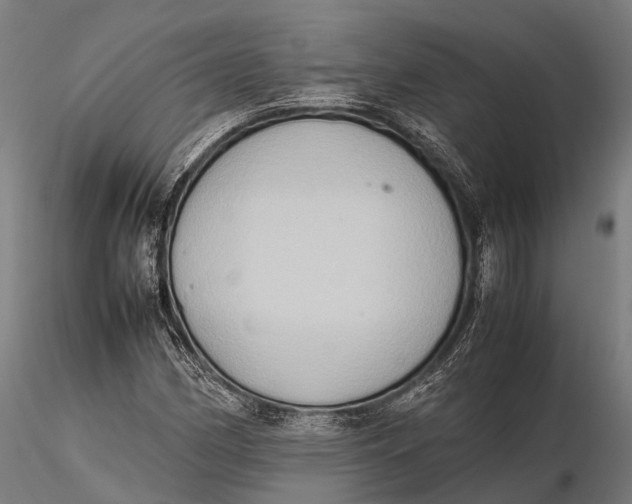 X0000115601162200912011520