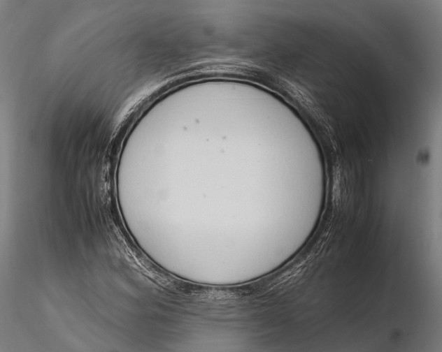 X0000115601164200912011520