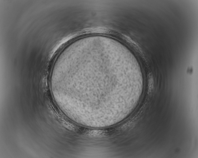 X0000115601166200912011520