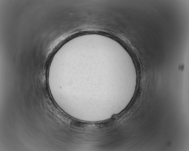 X0000115601167200912011520