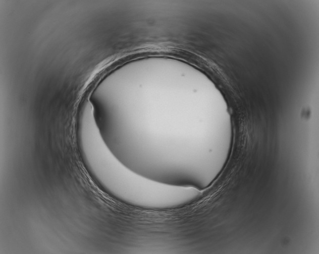 X0000115601168200912011520