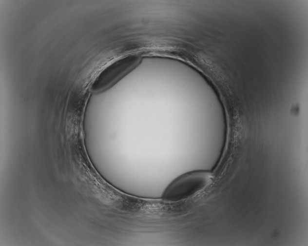 X0000115601169200912011520