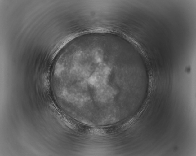 X0000115601170200912011520