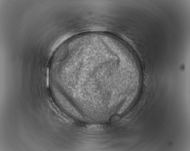 X0000115601171200912011520