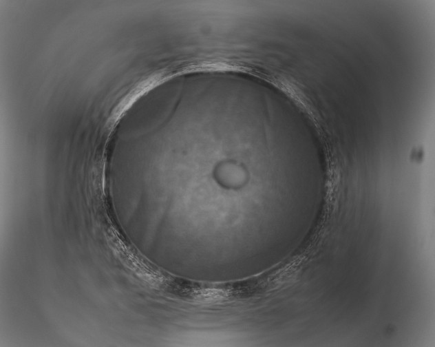 X0000115601173200912011520