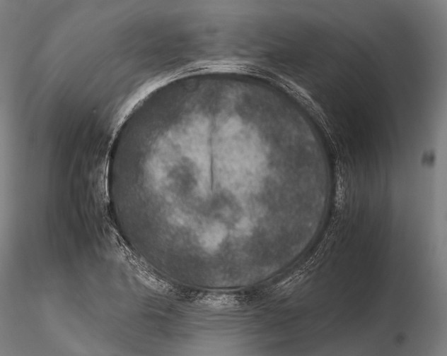 X0000115601174200912011520