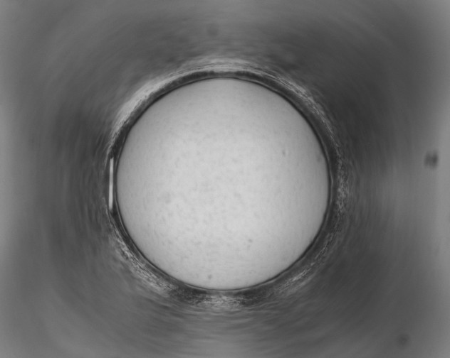 X0000115601175200912011520