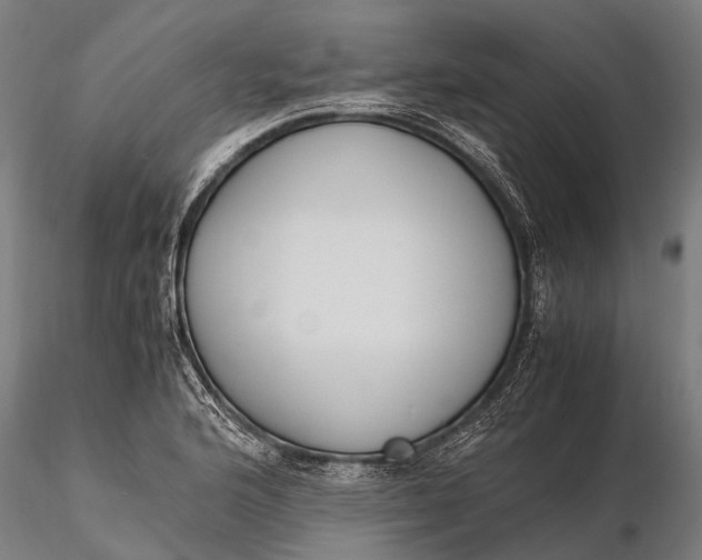 X0000115601176200912011520