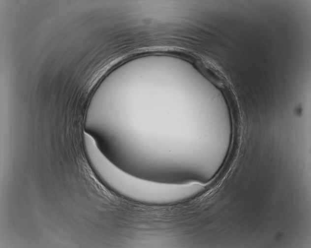 X0000115601177200912011520