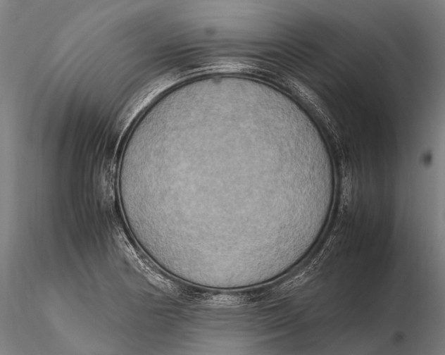 X0000115601178200912011520