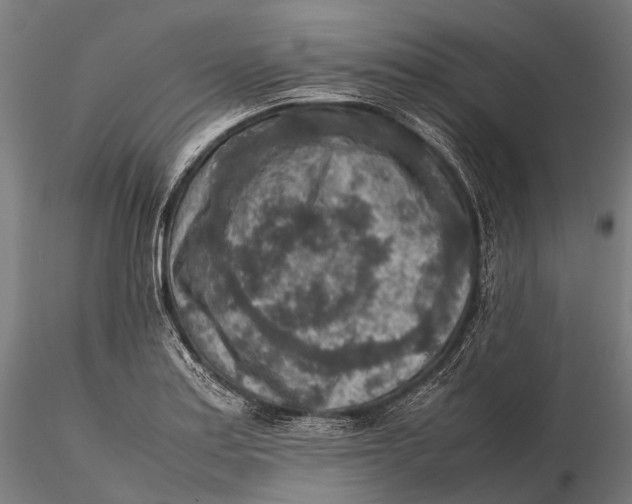 X0000115601179200912011520