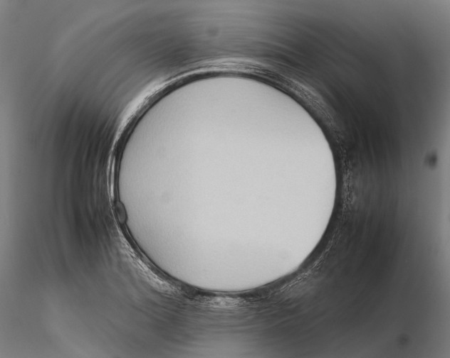 X0000115601180200912011520