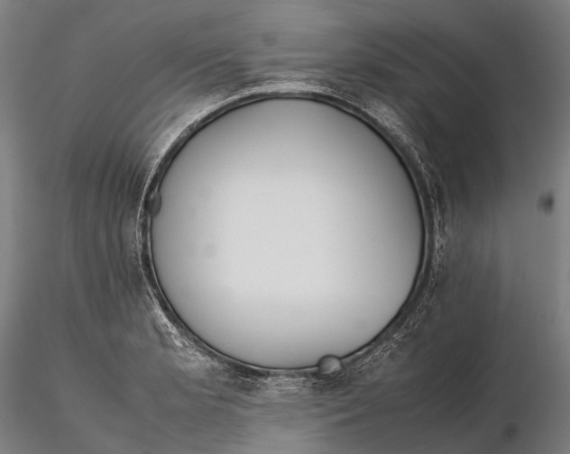 X0000115601181200912011520