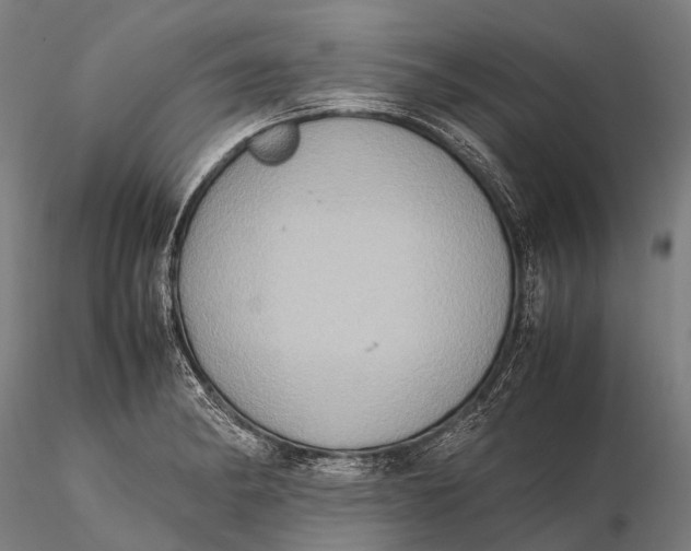 X0000115601182200912011520