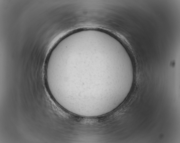 X0000115601183200912011520