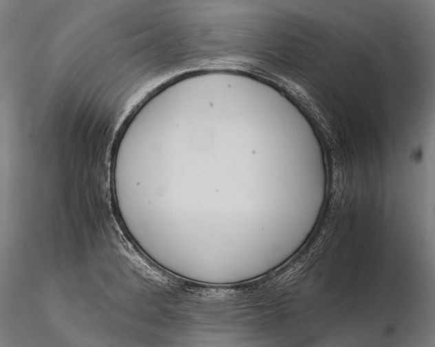 X0000115601184200912011520