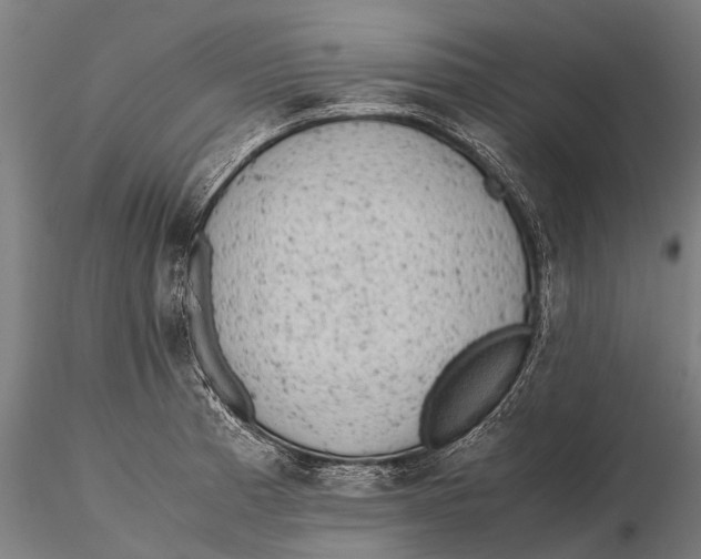 X0000115601185200912011520