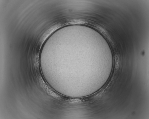 X0000115601186200912011520