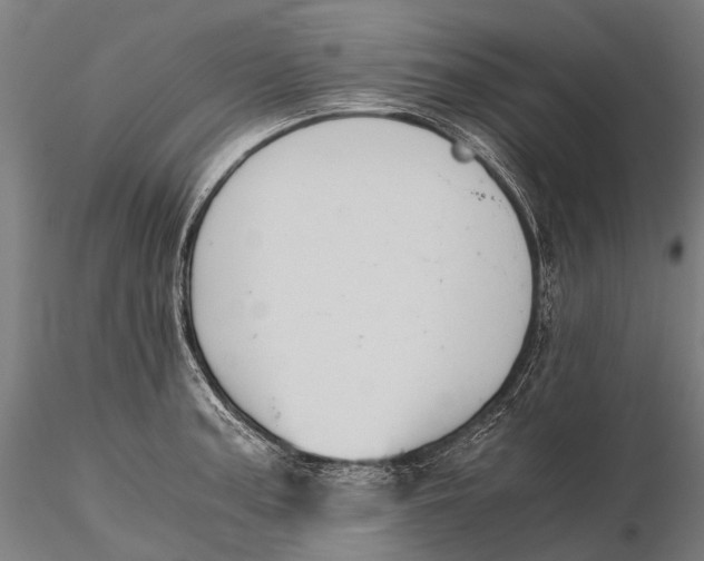 X0000115601187200912011520