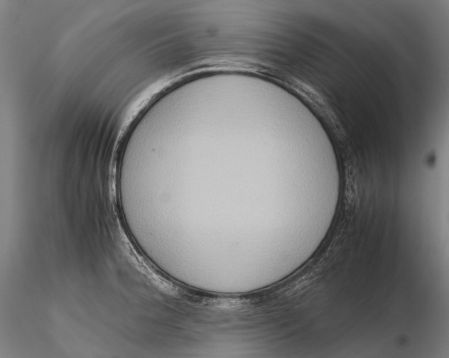 X0000115601188200912011520