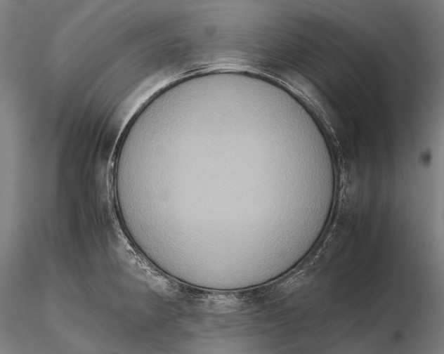 X0000115601190200912011519