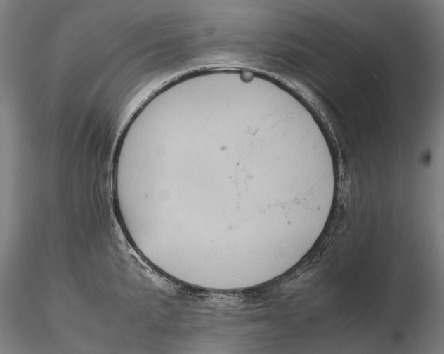 X0000115601191200912011519