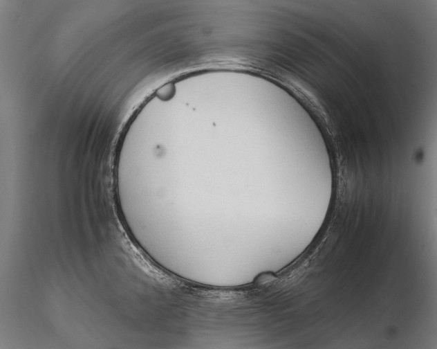 X0000115601192200912011519