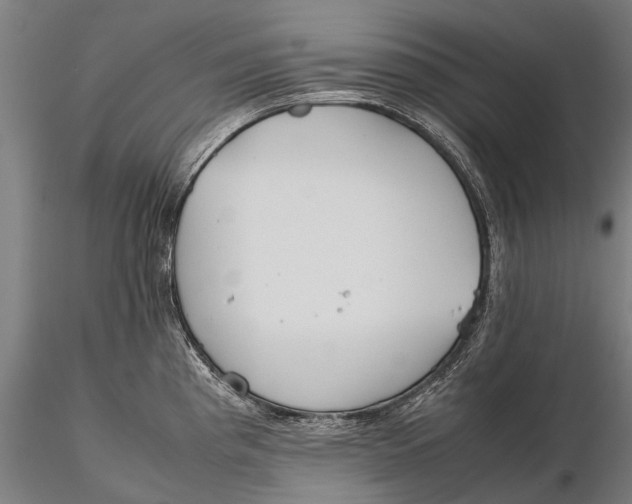 X0000115601193200912011519