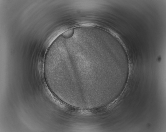 X0000115601194200912011519